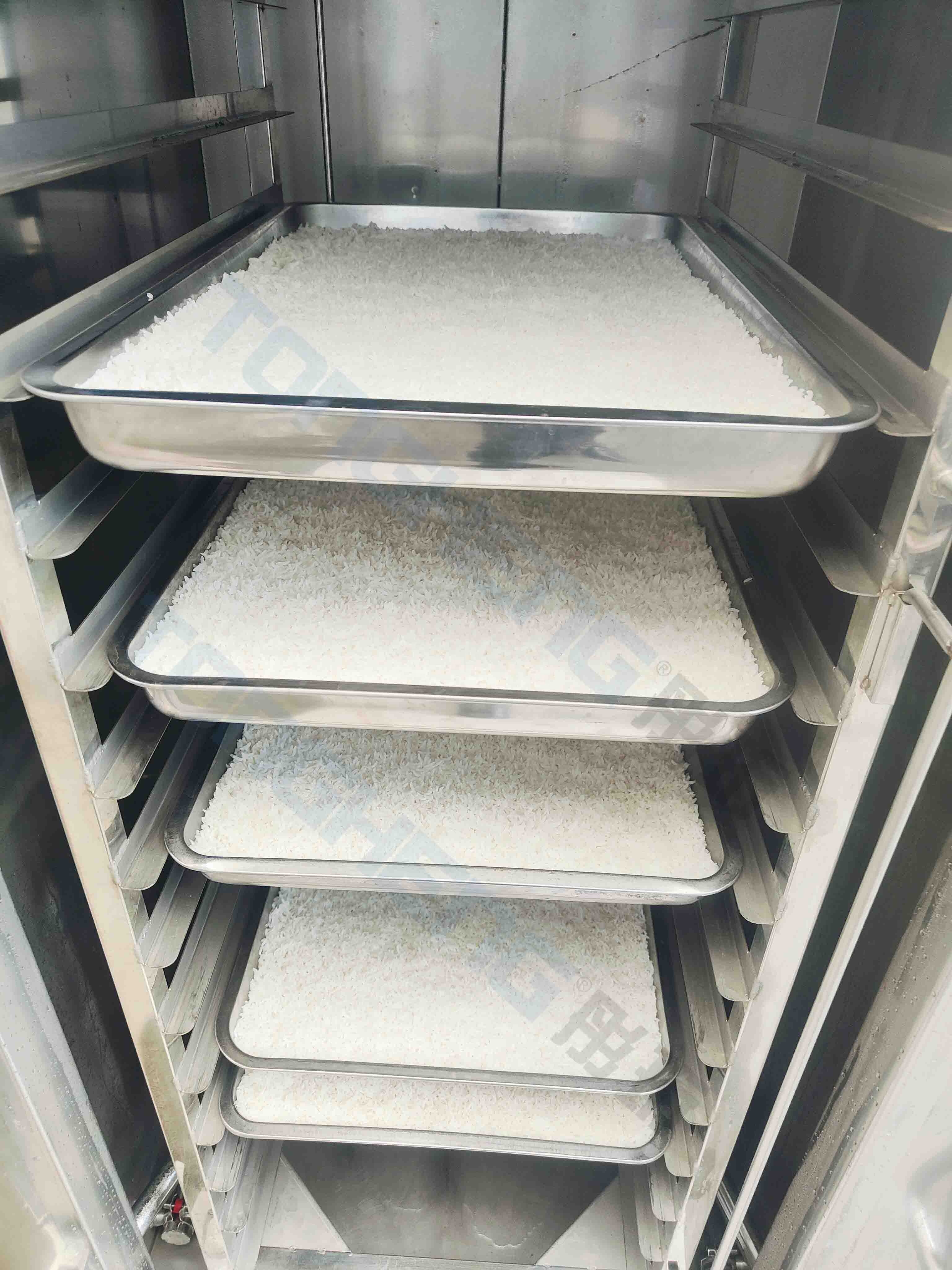 Commercial School Canteen 18 T - Commercial Steamer Cabinet reseña y precio